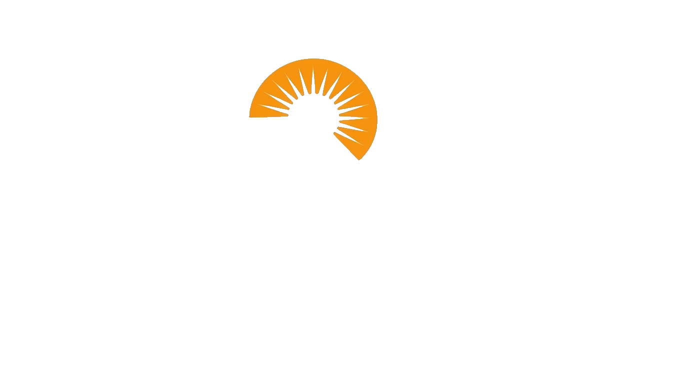 Viva Senior Services logo